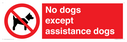 no-dogs-except-assistance-dogs~